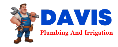 Trusted plumber in LUPTON